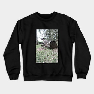 Tree Crewneck Sweatshirt